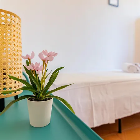 Lnd 9- 2 Camere, 3 Balconi, Parcheggio, Zona Residenziale 公寓 比萨